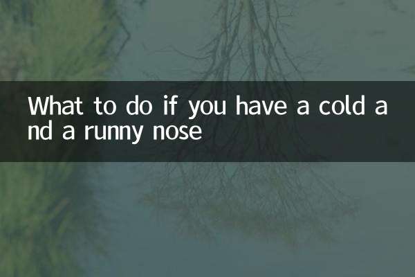감기에 걸리고 콧물이 나면 어떻게 해야 할까요?