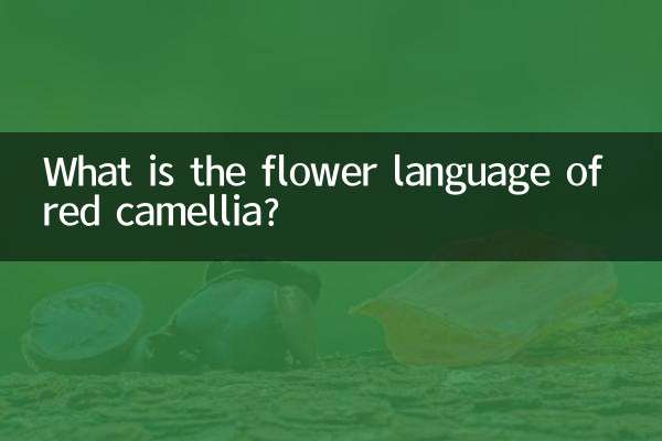 赤い椿の花言葉は何でしょうか？
