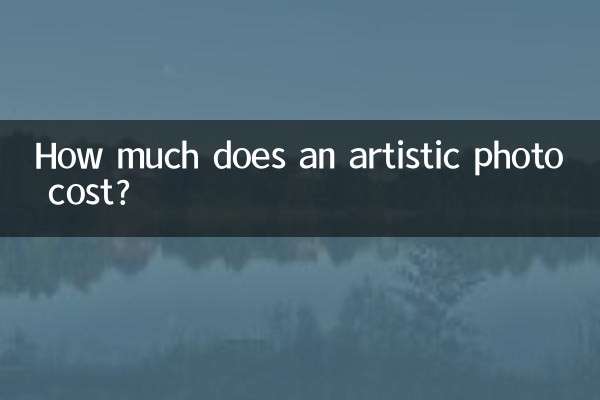 예술적인 사진의 가격은 얼마인가요?