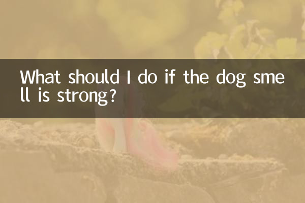 강아지 냄새가 강할 경우 어떻게 해야 하나요?