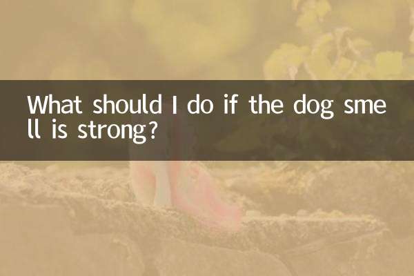 강아지 냄새가 강할 경우 어떻게 해야 하나요?