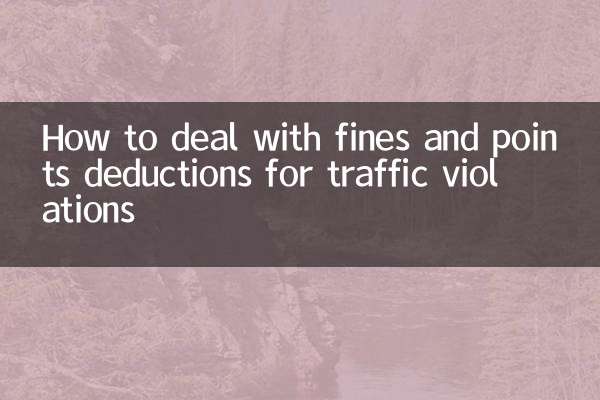 How to deal with fines and points deductions for traffic violations