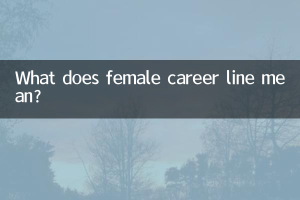 여성커리어라인은 무슨 뜻인가요?