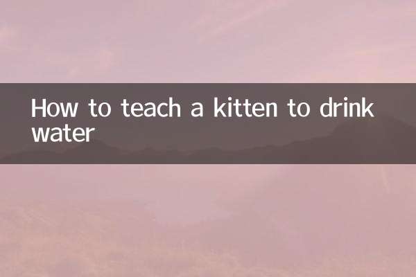 Wie man einem Kätzchen beibringt, Wasser zu trinken