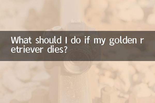 What should I do if my golden retriever dies?