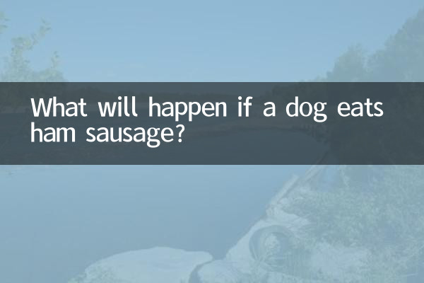 강아지가 햄소시지를 먹으면 어떻게 될까요?