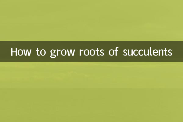 كيفية زراعة جذور العصارة