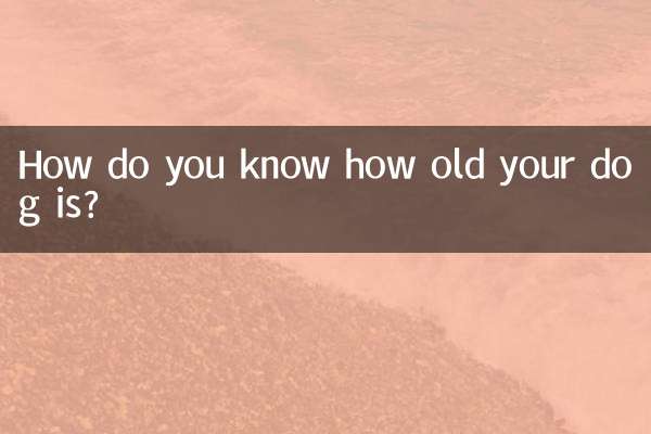 आप कैसे जानते हैं कि आपका कुत्ता कितने साल का है?