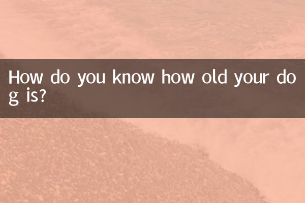 怎麼知道狗狗幾個月