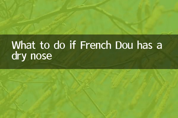 Что делать, если у французского Доу сухой нос