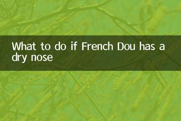 O que fazer se French Dou estiver com o nariz seco