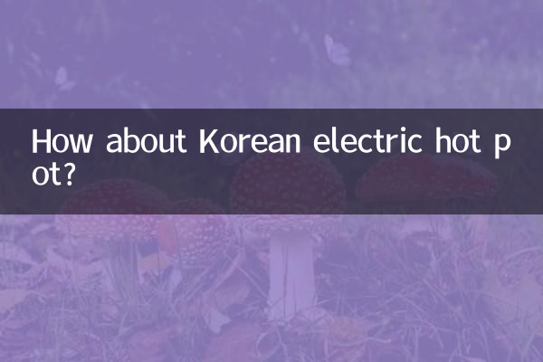Wie wäre es mit einem koreanischen elektrischen Hot Pot?