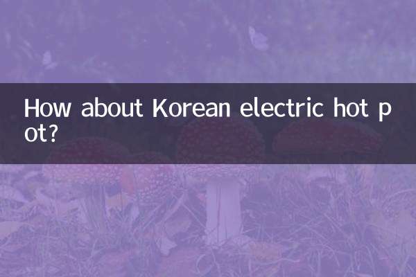 Wie wäre es mit einem koreanischen elektrischen Hot Pot?