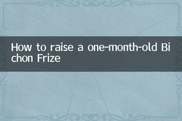 一個月的小比熊怎麼養