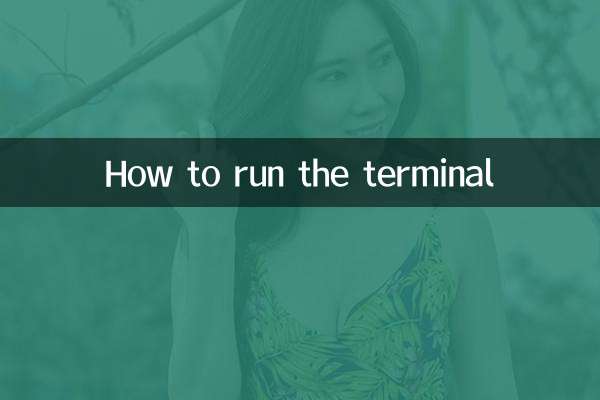 How to run the terminal