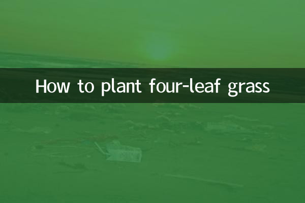 How to plant four-leaf grass