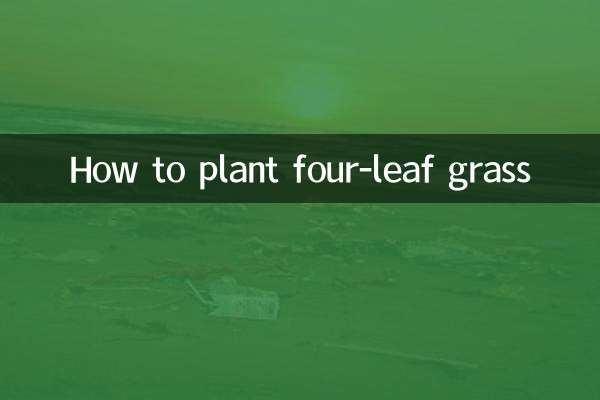 Cómo plantar hierba de cuatro hojas