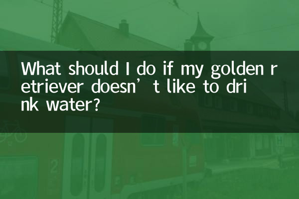 What should I do if my golden retriever doesn’t like to drink water?