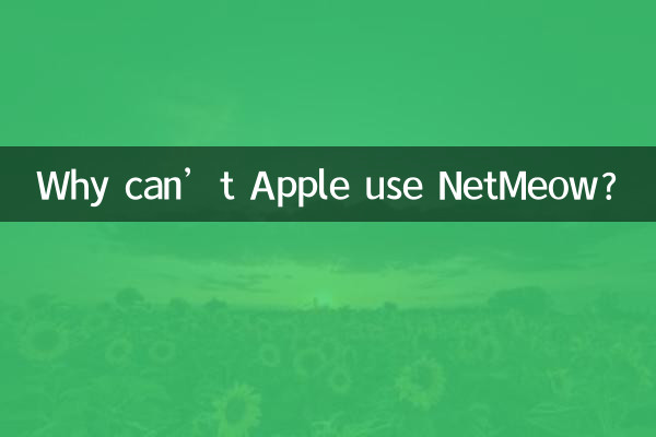 Apple이 NetMeow를 사용할 수 없는 이유는 무엇입니까?