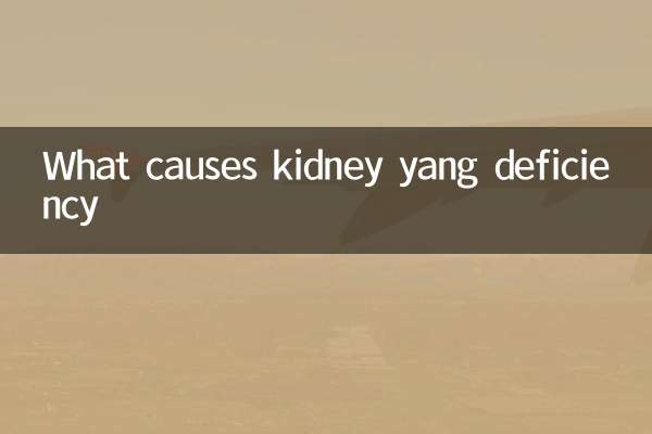 What causes kidney yang deficiency