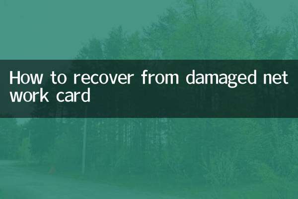 How to recover from damaged network card