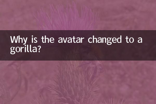 Why is the avatar changed to a gorilla?