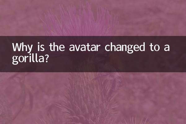 Why is the avatar changed to a gorilla?