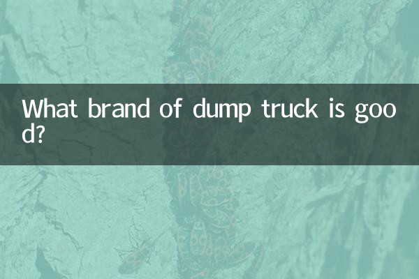 Quale marca di autocarro con cassone ribaltabile è buona?