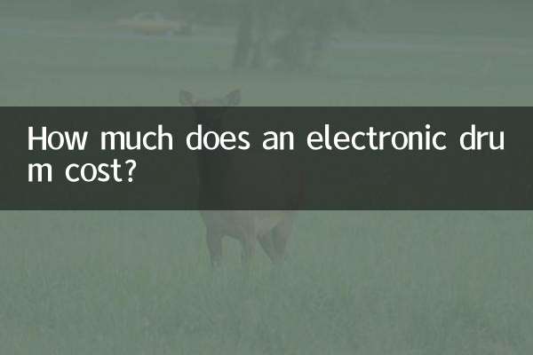 How much does an electronic drum cost?