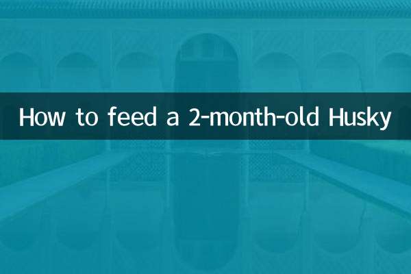 نحوه تغذیه هاسکی 2 ماهه