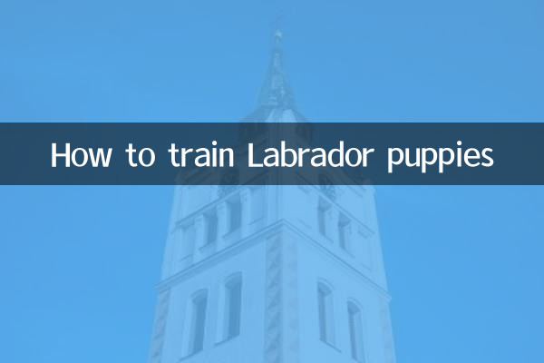 拉布拉多幼犬怎么训练