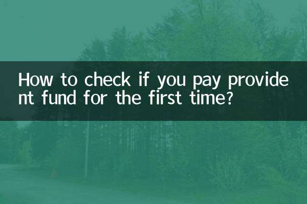 Come verificare se si paga la cassa di previdenza per la prima volta?