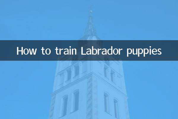 ラブラドールの子犬のしつけ方