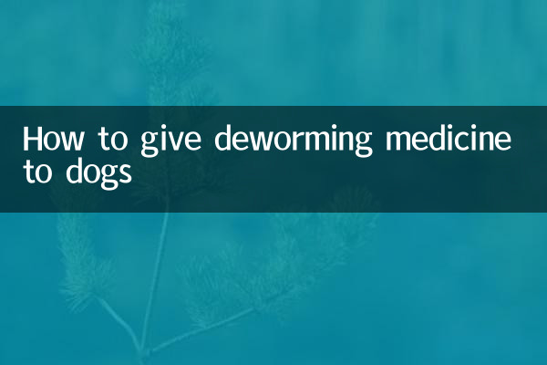 Wie man Hunden Entwurmungsmedikamente verabreicht