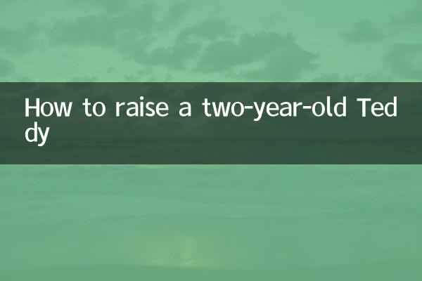 Come allevare un Teddy di due anni