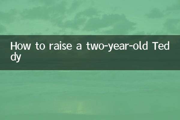 Come allevare un Teddy di due anni