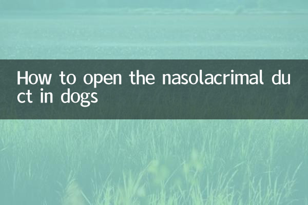 狗狗鼻泪管怎么通