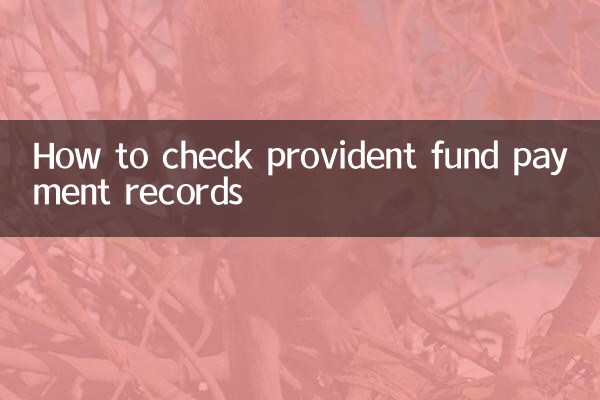 So überprüfen Sie die Zahlungsunterlagen der Vorsorgekasse