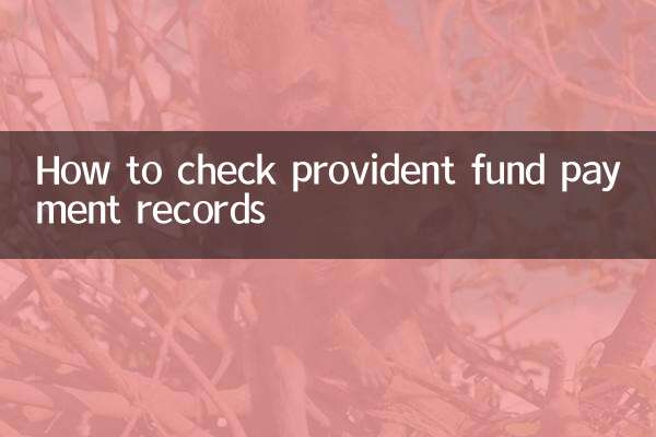 So überprüfen Sie die Zahlungsunterlagen der Vorsorgekasse