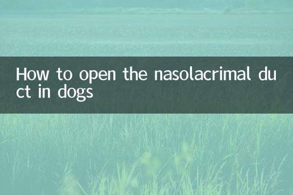 狗狗鼻泪管怎么通