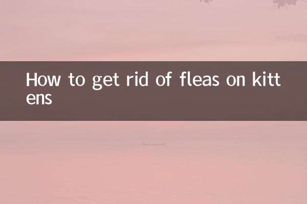 بلی کے بچوں پر پسووں سے کیسے چھٹکارا حاصل کریں