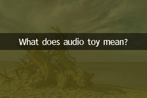 有声玩具什么意思