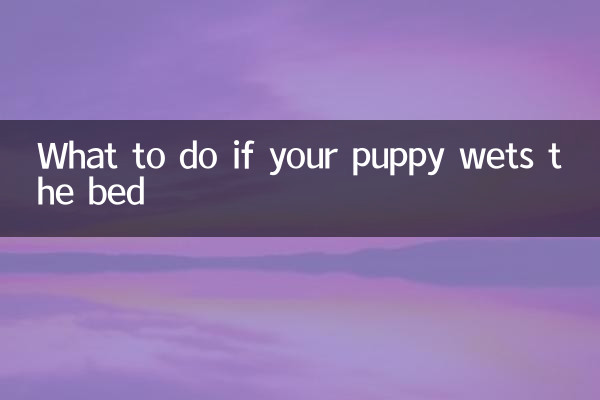 What to do if your puppy wets the bed