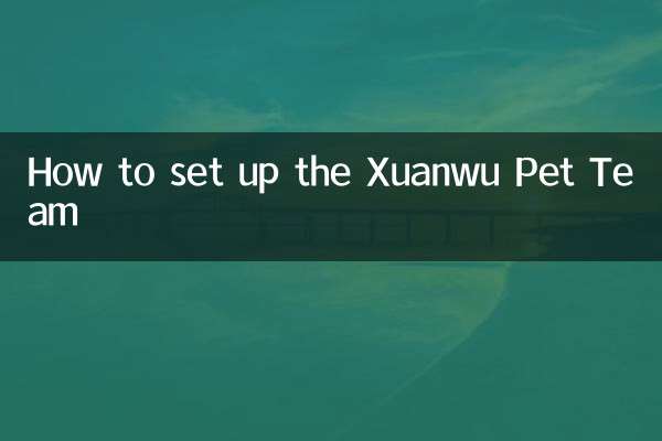 نحوه راه اندازی تیم Xuanwu Pet