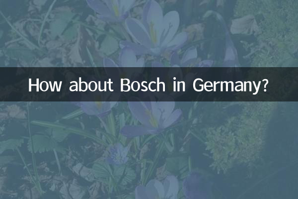 How about Bosch in Germany?