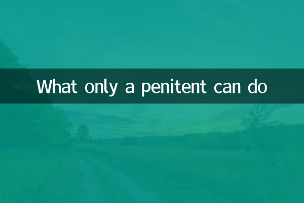 What only a penitent can do