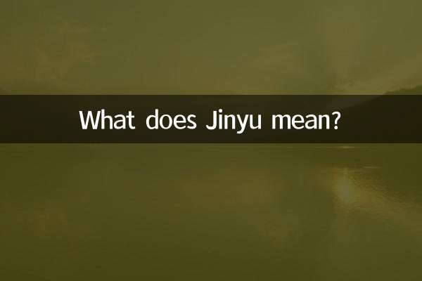 ジンユとはどういう意味ですか？