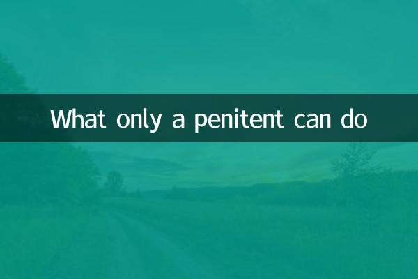 What only a penitent can do