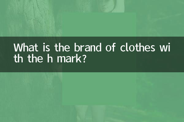 Quelle est la marque des vêtements portant la marque H ?