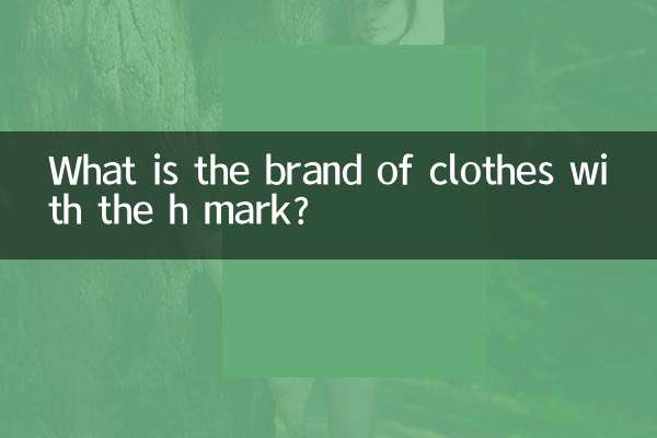 What is the brand of clothes with the h mark?